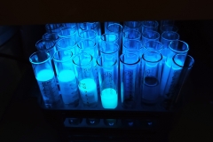 Experiment_2022